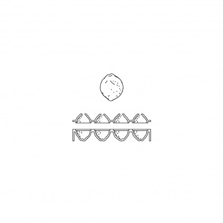PX4332S Forma silikonowa Mandarynka 3D Pavoni