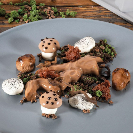 GG023S TREE Forma silikonowa 300/175 mm do dekoracji GALĘZI Pavoni