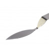 CH7 S 60 x 20 mm narzędzie do długich liści z czekolady Pavoni