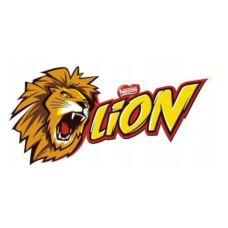 400g LION MIX-IN POSYPKA DO LODÓW Nestle Professional