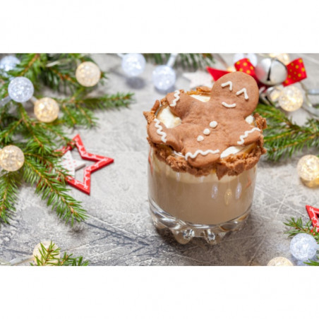 0,7l GINGERBREAD LE SIROP DE MONIN syrop o smaku pierniczków