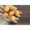 Mata silikonow SQ007 MINI MUFFIN 70x40 ml 60x40 cm Silikomart
