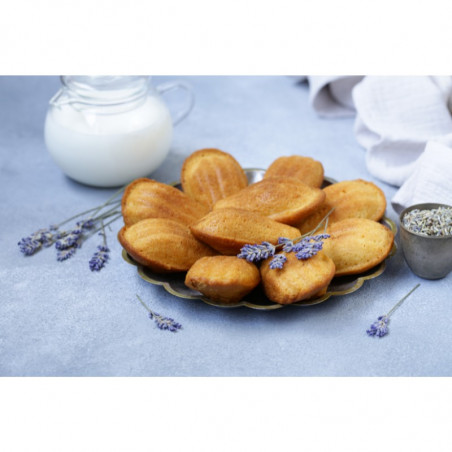 PX006 MADELEINE PAVONI duża forma silikonowa na 44 magdalenki o wymiarach 78 x 45 x h 18 mm