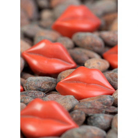 forma z termoformowanego poliwęglanu do tworzenia wyjątkowych pralin w kształcie ust