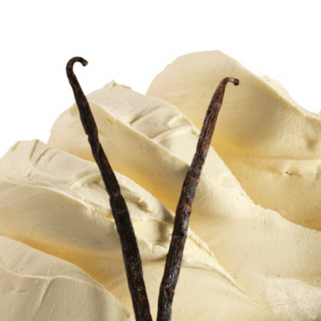 pasta do lodów i produkcji cukierniczej o smaku słodkiej śmietanki z wanilią