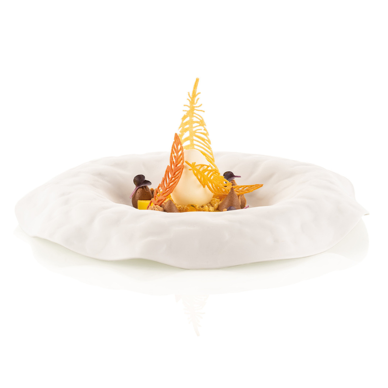 profesjonalna forma silikonowa w kształcie piórek do haute cuisine profesjonalna forma silikonowa w kształcie piórek do haute cuisine