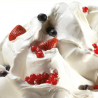 2 kg BASE YOGO PLUS 12093373 PERNIGOTTI dodatek w proszku na bazie odwodnionego jogurtu naturalnego