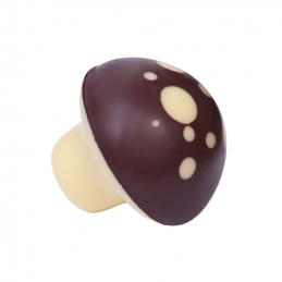 trójwymiarowa dekoracja z białej czekolady w kształcie grzybów