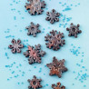 SCG40 Choco Frozen Silikomart - forma silikonowa śnieżynki - Cukieteria.pl
