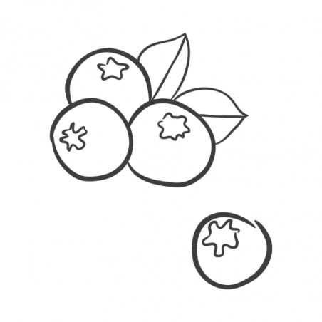 naturalne puree owocowe bez dodatku cukru i konserwantów - jagoda