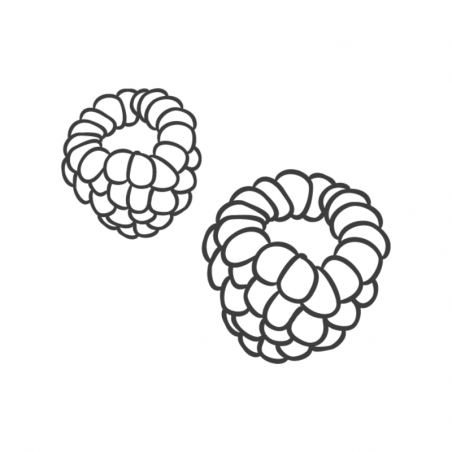 naturalne puree owocowe bez dodatku cukru i konserwantów - malina