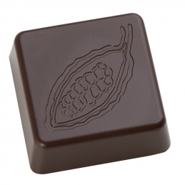 forma do pralin i czekoladek kwadrat z wzorem ziarna kakaowca