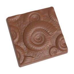 forma z poliwęglanu do kwadratowych mini tabliczek z wzorem skamieniałości