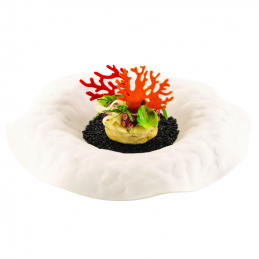forma silikonowa do profesjonalnych dekoracji spożywczych - koralowce