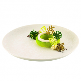 forma silikonowa do profesjonalnych dekoracji spożywczych - liście - ogród na talerzu
