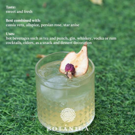 suszone plastry gruszki - botanica - cukieteria.pl