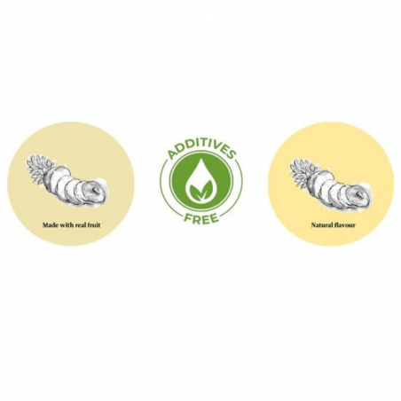 suszone plastry ananasa - botanica - cukieteria.pl