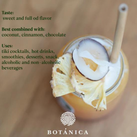 suszone plastry ananasa - botanica - cukieteria.pl