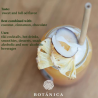 suszone plastry ananasa - botanica - cukieteria.pl