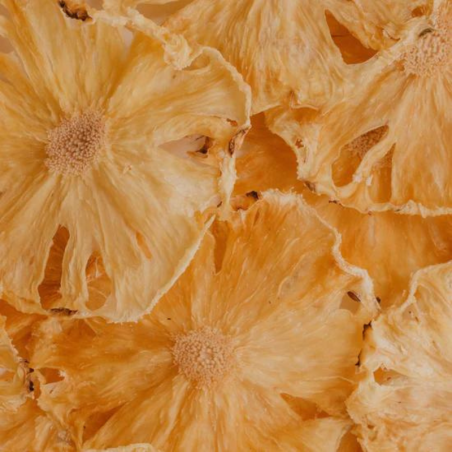 suszone plastry ananasa - botanica - cukieteria.pl