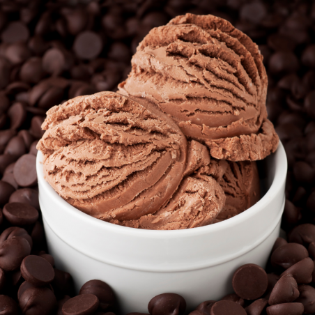 mieszanka bazowa do tradycyjnych lodów czekoladowych - Pernigotti - cukieteria.pl