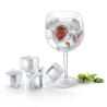 Naturae Ice 26 Silikomart - zestaw form silikonowych do kostek lodu - Cukieteria.pl