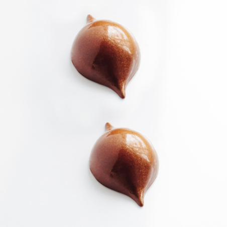 CW1903 Praline Curve Frank Haasnoot - Chocolate World - Cukieteria.pl