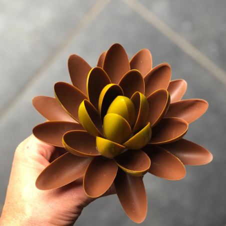 CW1950 Lens Ovaal Frank Haasnoot - Chocolate World - forma z poliwęglanu do pralin - Cukieteria.pl