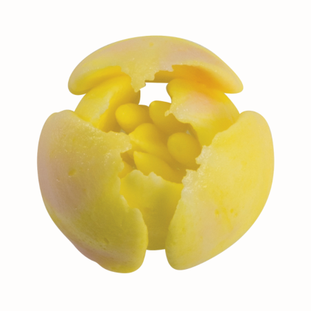 1 szt. Tylka Rosyjska do kwiatów - BX0002 Martellato - stalowa końcówka do dekorowania kremem - śr. 37 mm x wys. 42 mm