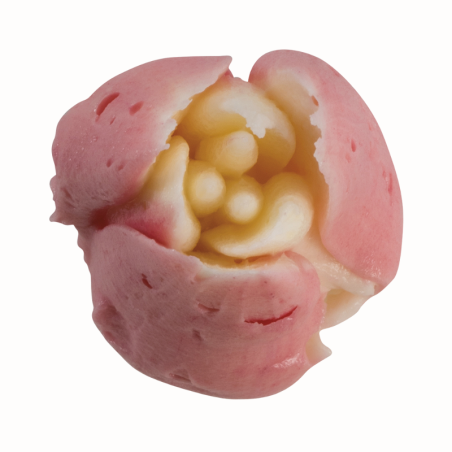 1 szt. Tylka Rosyjska do kwiatów - BX0011 Martellato - stalowa końcówka do dekorowania kremem - śr. 37 mm x wys. 42 mm