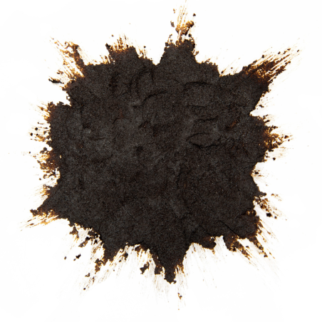 op. 1 kg COEUR DE VANILLE BOUQUET EUROVANILLE ekstrakt waniliowy z nasionami wanilii i proszkiem waniliowym