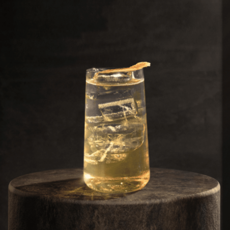 op. 485 ml PARAGON RUE BERRY Monin - kordiał botaniczny - Cukieteria.pl