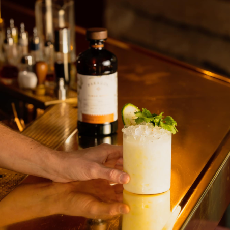 op. 485 ml PARAGON TIMUR BERRY - kordiał botaniczny - Monin - Cukieteria.pl