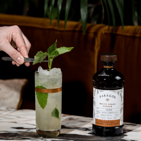 op. 485 ml PARAGON WHITE PENJA PEPPER - kordiał botaniczny - Monin - Cukieteria.pl