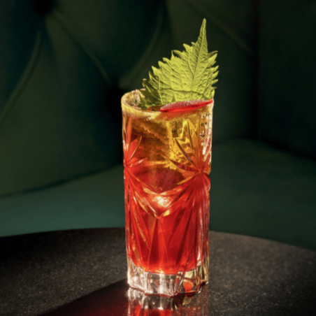 op. 485 ml PARAGON WHITE PENJA PEPPER - kordiał botaniczny - Monin - Cukieteria.pl