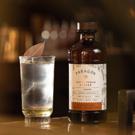 op. 485 ml PARAGON WHITE PENJA PEPPER - kordiał botaniczny - Monin - Cukieteria.pl