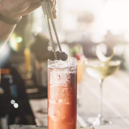 op. 485 ml PARAGON WHITE PENJA PEPPER - kordiał botaniczny - Monin - Cukieteria.pl