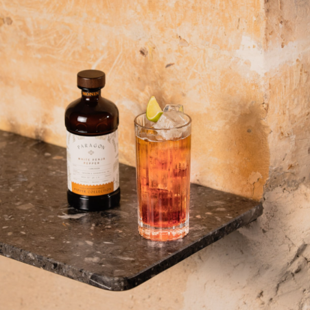 op. 485 ml PARAGON WHITE PENJA PEPPER - kordiał botaniczny - Monin - Cukieteria.pl