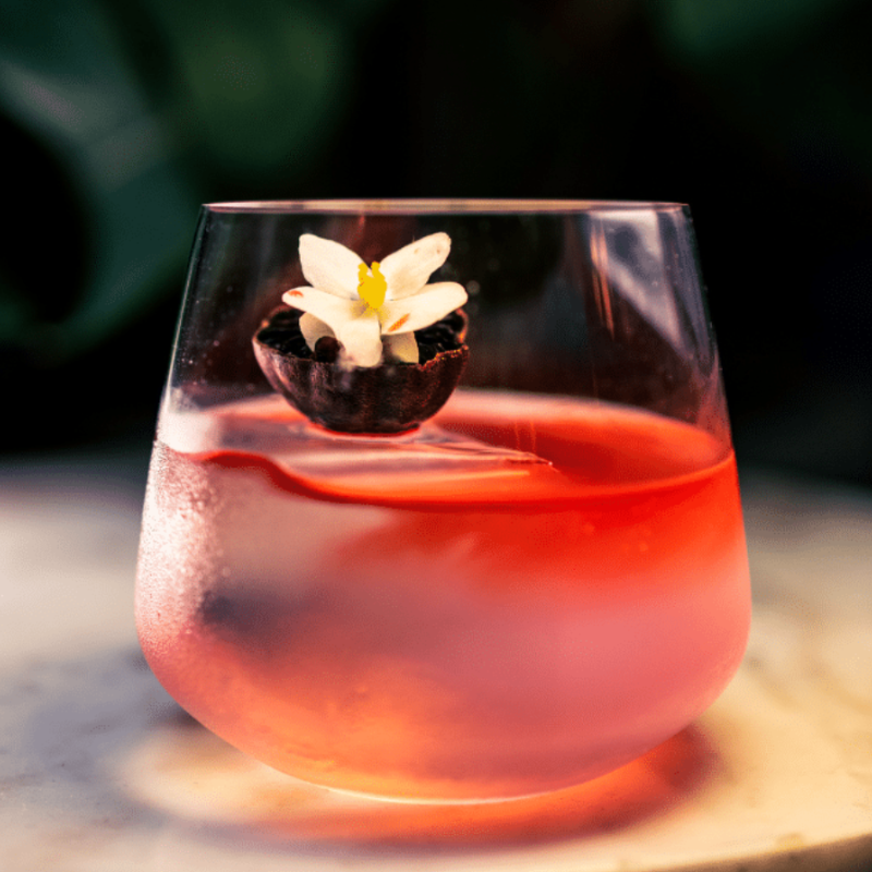 op. 485 ml PARAGON VETIVER - kordiał botaniczny - Monin - Cukieteria.pl op. 485 ml PARAGON VETIVER - kordiał botaniczny - Monin - Cukieteria.pl