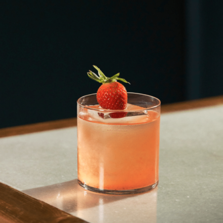 op. 485 ml PARAGON VETIVER - kordiał botaniczny - Monin - Cukieteria.pl