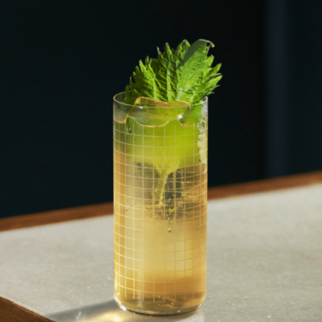 op. 485 ml PARAGON VETIVER - kordiał botaniczny - Monin - Cukieteria.pl