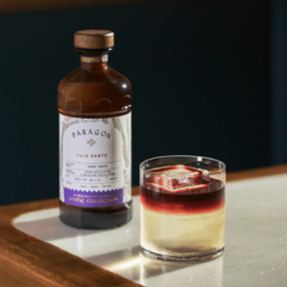 op. 485 ml PARAGON PALO SANTO - kordiał botaniczny - Monin - Cukieteria.pl