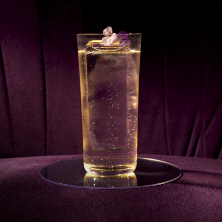 op. 485 ml PARAGON LABDANUM - kordiał botaniczny - Monin - Cukieteria.pl