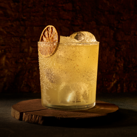 op. 485 ml PARAGON LABDANUM - kordiał botaniczny - Monin - Cukieteria.pl