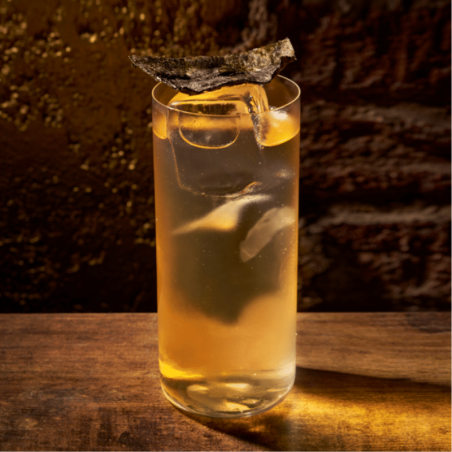 op. 485 ml PARAGON LABDANUM - kordiał botaniczny - Monin - Cukieteria.pl