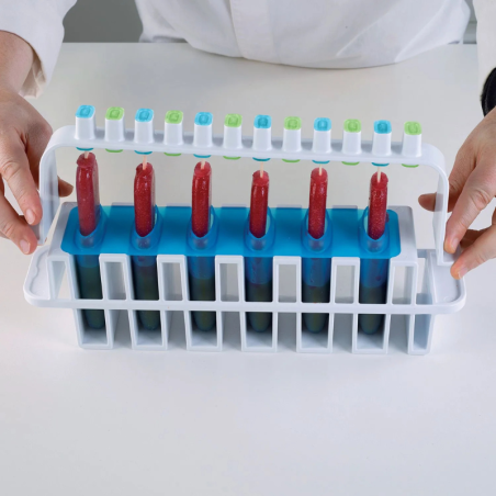 L'italiano Silikomart - zestaw do nadziewanych lodów na patyku - Cukieteria.pl