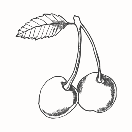 Kwaśna wiśnia - naturalny przecier owocowy - bez dodatków - Cukieteria.pl