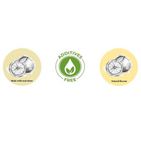 suszone plastry grejpfruta - botanica - cukieteria.pl