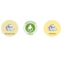suszone plastry limonki - botanica - cukieteria.pl