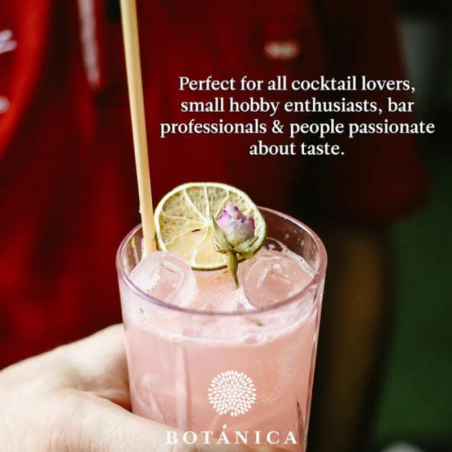 suszone plastry limonki - botanica - cukieteria.pl